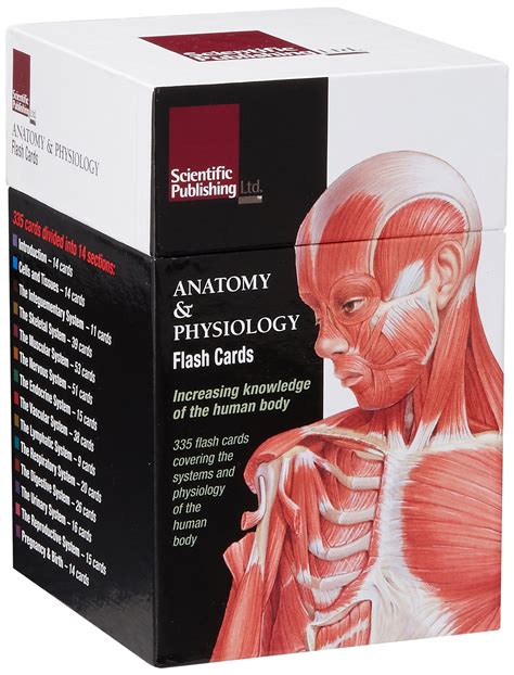 31 Jul 2019 ... Jul 22, 2020 - Enjoy 335 illustrated 4x6-inch flash cards that explore essential concepts of anatomy and physiology organized into systems ...